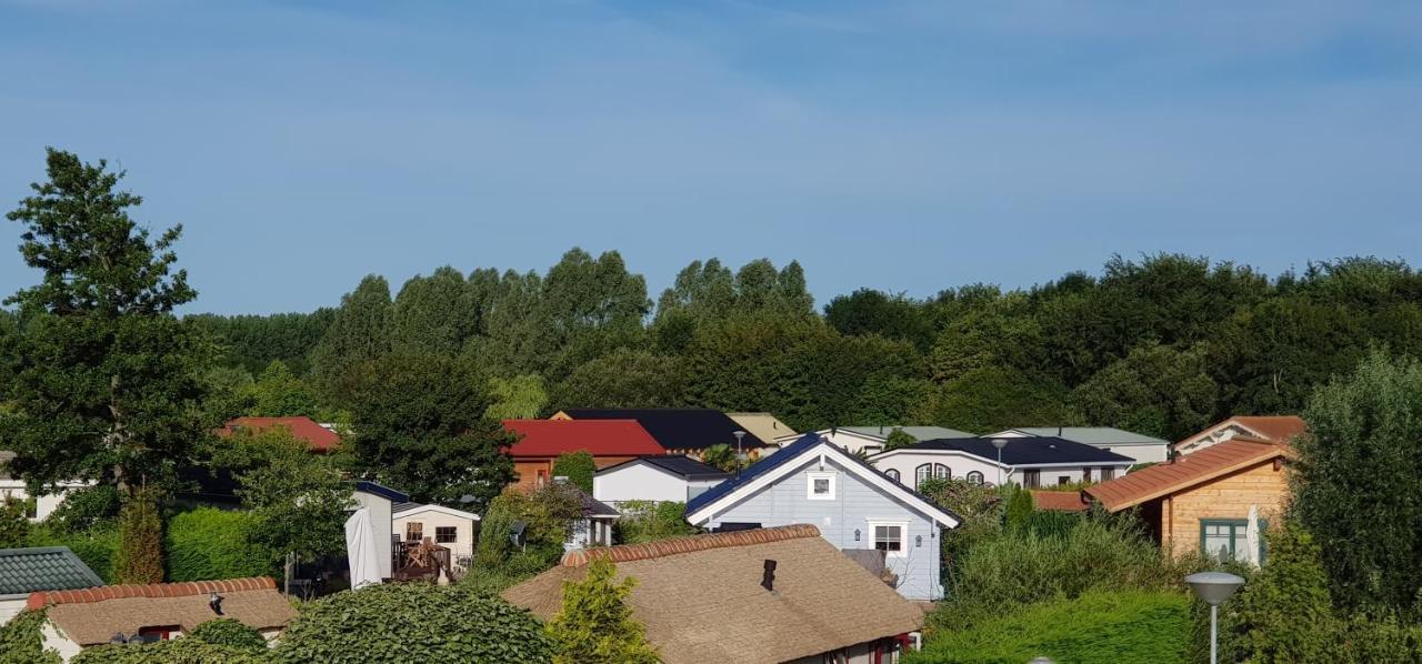 Villa Emilia - Gemütliches kinderfreundliches Blockhaus mit umzäuntem Garten Sint-Annaland Exterior foto